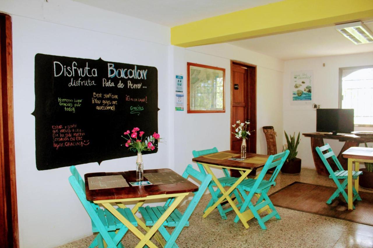 Hostal & Suites Pata De Perro Бакалар Екстер'єр фото