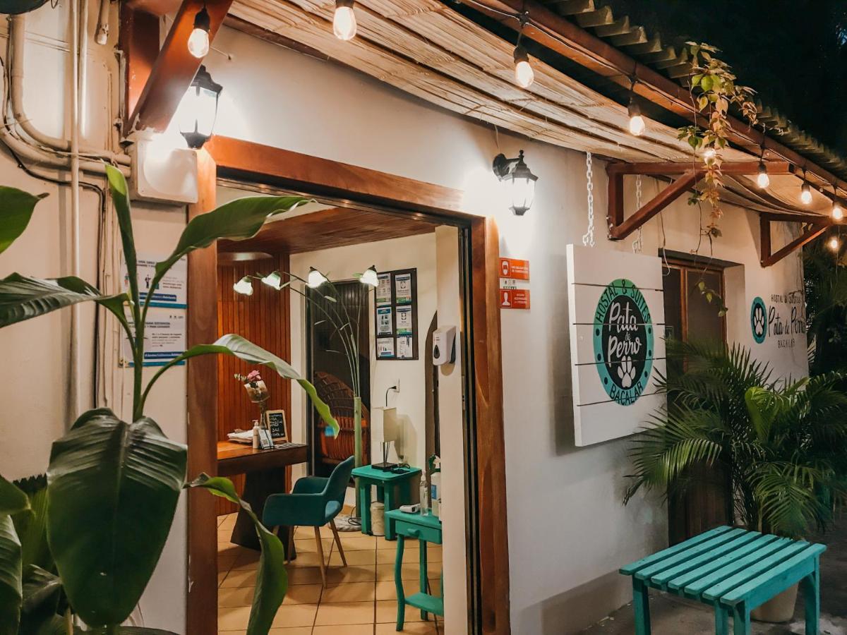 Hostal & Suites Pata De Perro Бакалар Екстер'єр фото